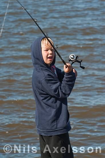 Ung fiskare   ©Foto: Nils Axelsson  #BildID: nadig120901399n    