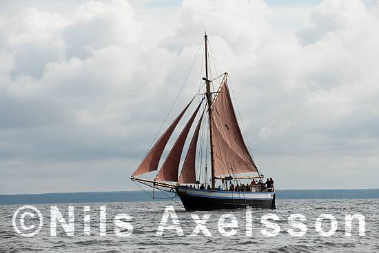 Oskar II för segel   ©Foto: Nils Axelsson  #BildID: nadig130831078n    